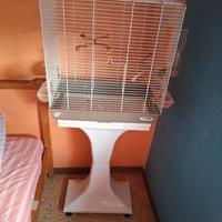 gabbia per uccelli 