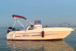 Bluline 19 come mercury 115cv