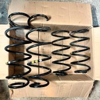 Molle assetto originale Fiat Punto Evo