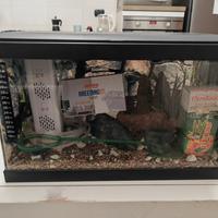acquario 22 litri completi