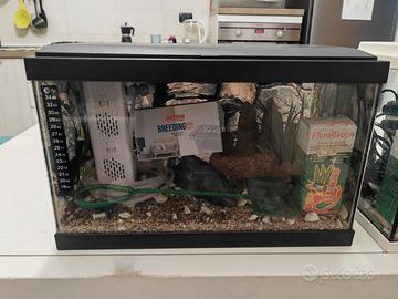 acquario 22 litri completi
