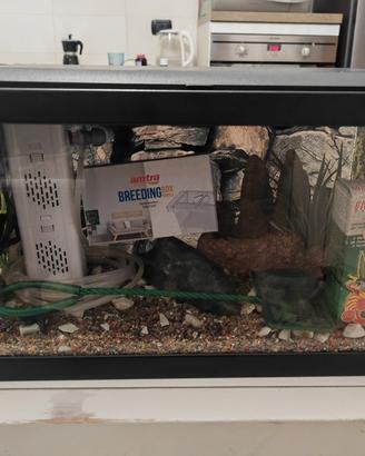 acquario 22 litri completi