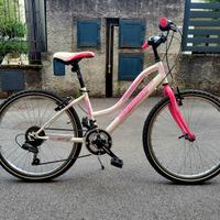 Bici Lombardo raggio 24