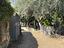 Immagine 11