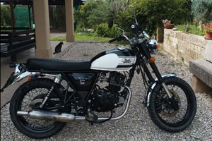 Mash Seventy Five 125