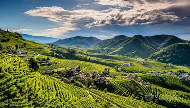 Vigneto di Valdobbiadene Docg