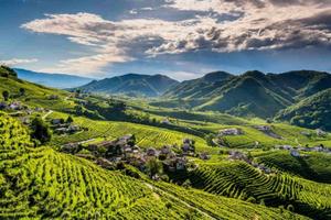 Vigneto di Valdobbiadene Docg