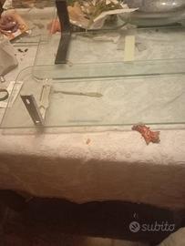 Mensole in cristallo