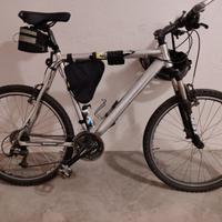 Mountain Bike Cicli Professional