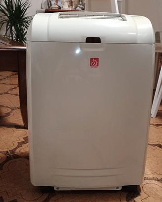 Condizionatore portatile CAT 9000/btu