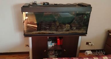 Acquario