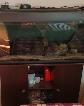 Acquario