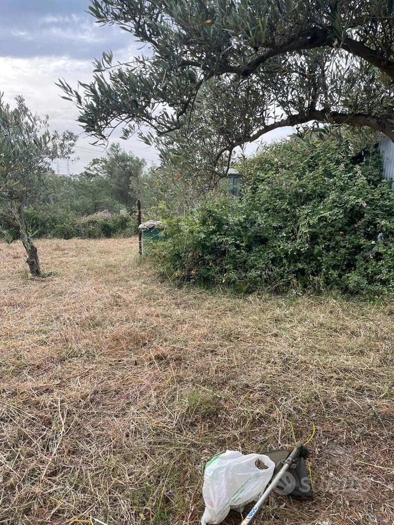 Terreno agricolo .CATTAFI - Vista 5