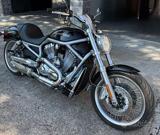 Harley Davidson V-rod