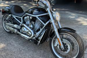 Harley Davidson V-rod