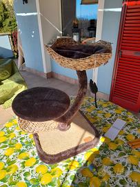 colonna gatti