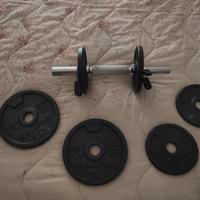 manubrio con pesi , 10 kg