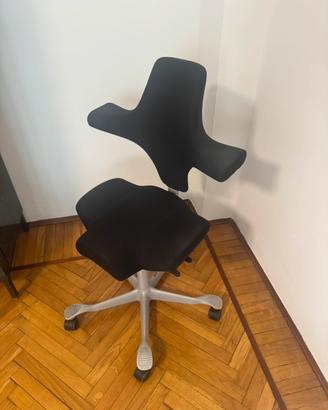 Sedia hag capisco