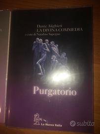 la divina commedia purgatorio 