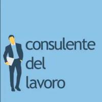 Consulente del Lavoro