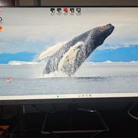monitor hp 27 pollici