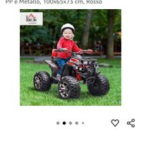 quad elettrico 
