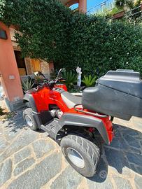 QUAD 250 (si guida con patente B) 