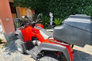 QUAD 250 (si guida con patente B) 