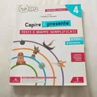 Test e mappe semplificate. libro didattica 