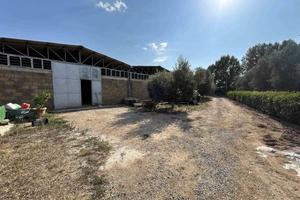 Immobile di 200 m² con 1 locale a Tuscania