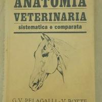 Anatomia Veterinaria Pelagalli volume 1
