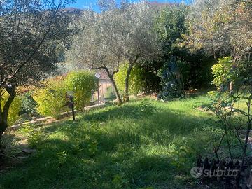 Localita' belvedere di ancaiano