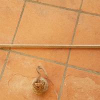 bilancia stadera antica