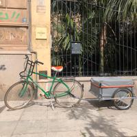 Bicicletta Bianchi con rimorchio