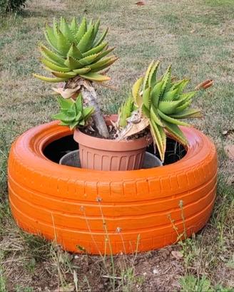 Riciclo Creativo