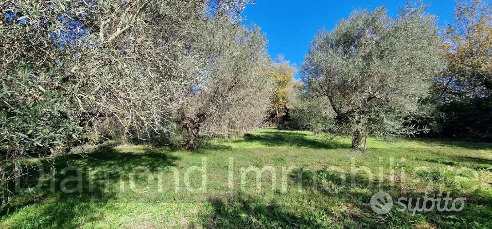 Terreno con rustico a Castiglione di Sicilia - Altro