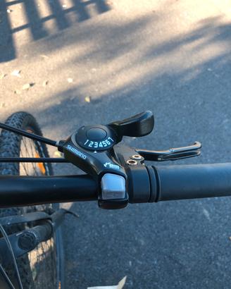 Bici momodesign