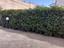 Immagine 26