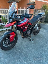 Triumph Tiger 900 gt pro