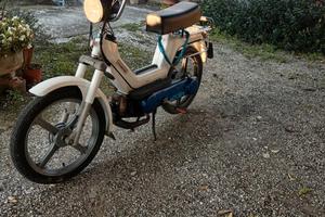si piaggio 