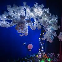 Meraviglioso albero di Sakura dal giapponese!