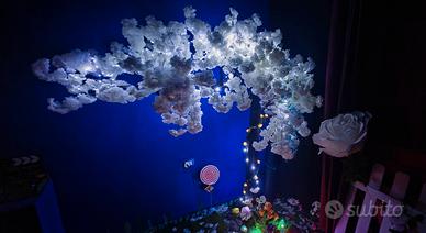 Meraviglioso albero di Sakura dal giapponese!