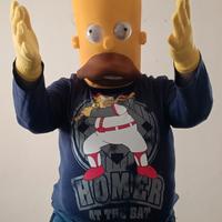 Homer Simpson carnevale adulto adulti uomo donna 