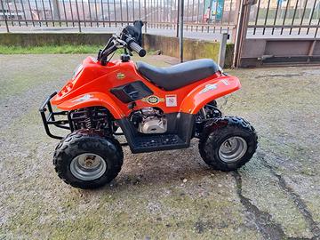 Mini Quad 50 cc