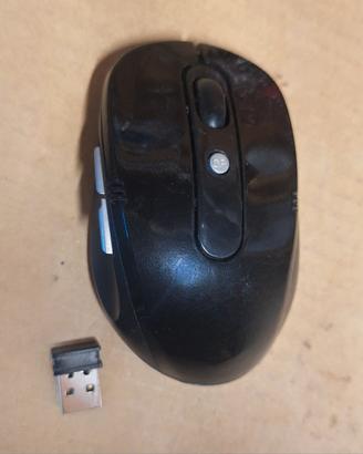 Mouse ottico