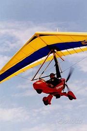 Deltaplano a motore