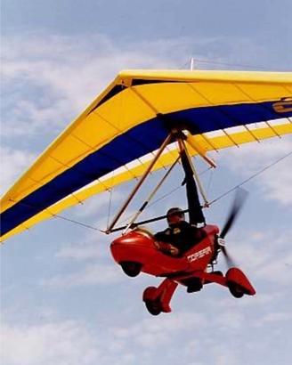 Deltaplano a motore