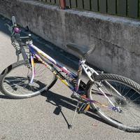 Bici Mtb da donna Aurora