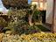 Immagine 28