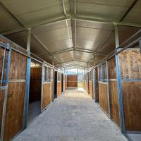 Scuderie e box per equini